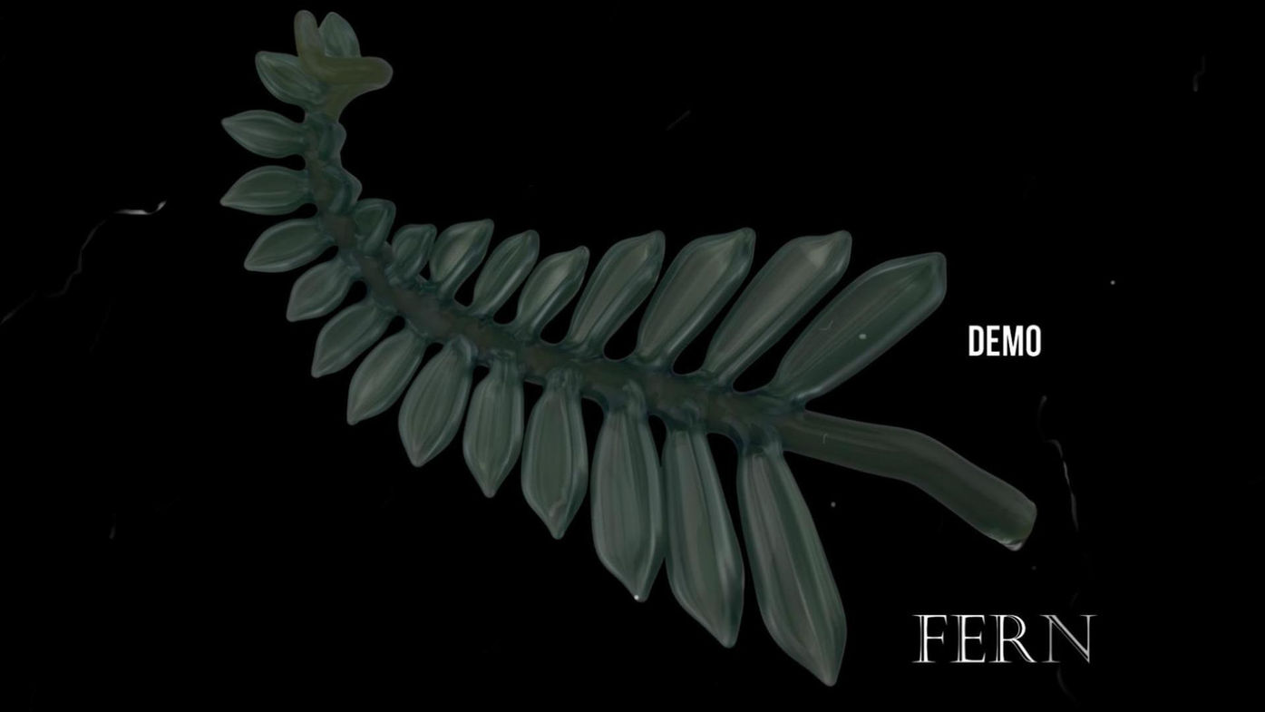 LaceFace - Fern